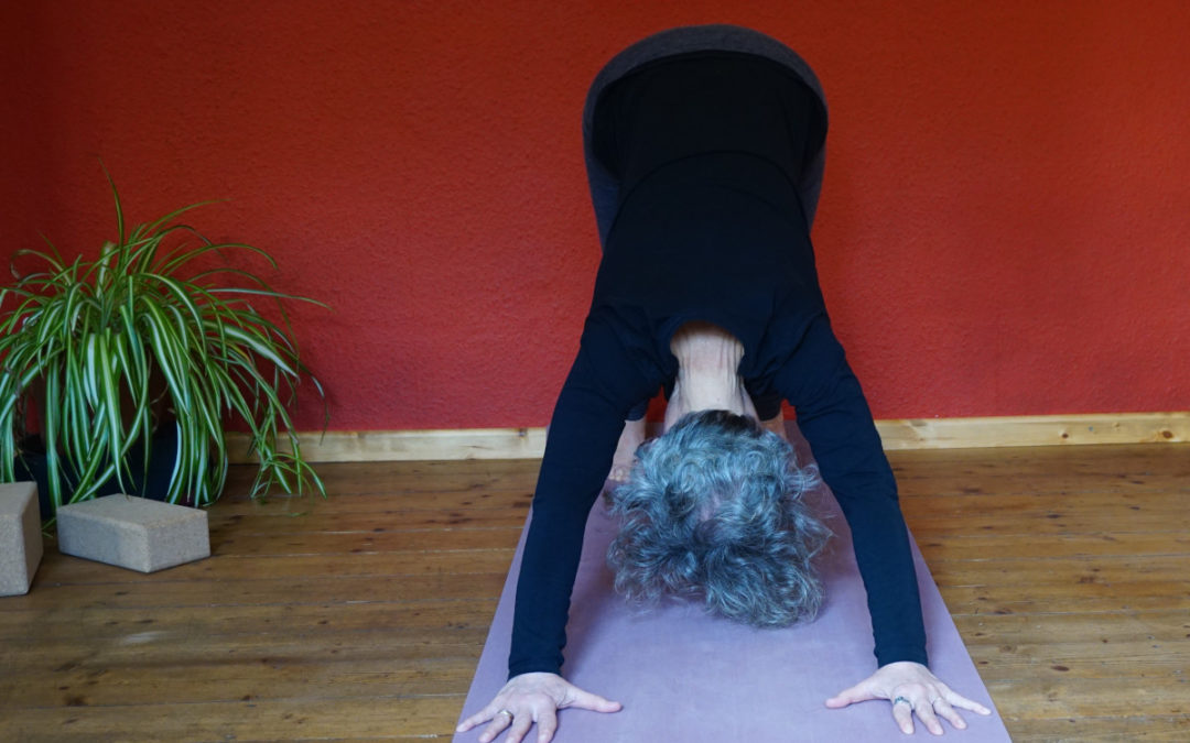 Das Bild zeigt Susanne Koch in der Yogastellung "Nach unten schauender Hund" Eine Umkehrhaltung im Yoga