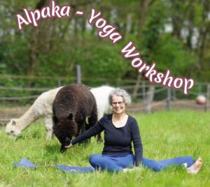 Das Foto zeigt Susanne sitzend auf einer Yogamatte. Neben ihr steht ein braunes Alpaka. Im Hintergrund sind noch zwei weitere Alpakas zu sehen. Oben steht: "Alpaka-Yoga Workshop
